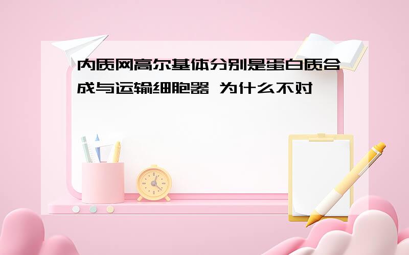 内质网高尔基体分别是蛋白质合成与运输细胞器 为什么不对