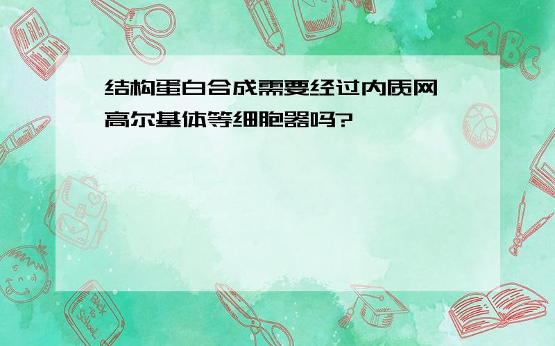 结构蛋白合成需要经过内质网,高尔基体等细胞器吗?