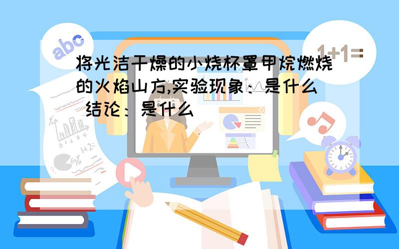 将光洁干燥的小烧杯罩甲烷燃烧的火焰山方,实验现象：是什么 结论：是什么