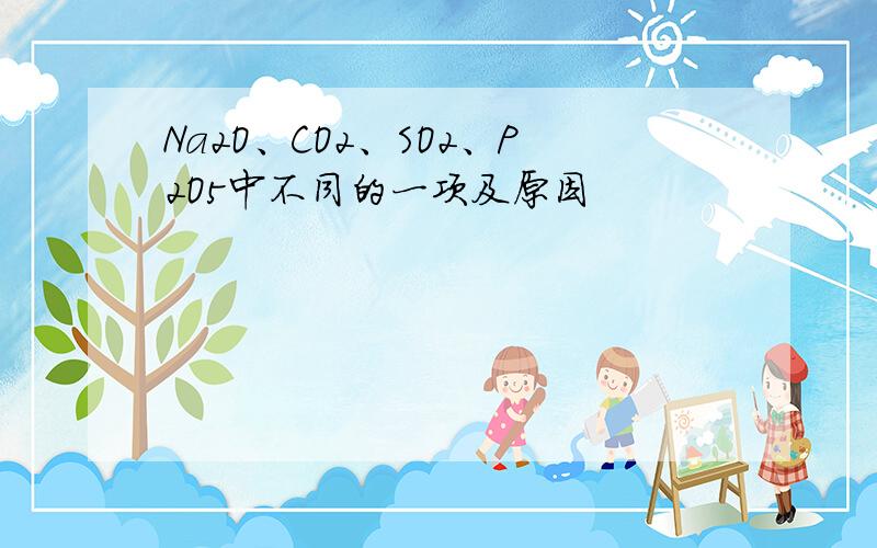 Na2O、CO2、SO2、P2O5中不同的一项及原因