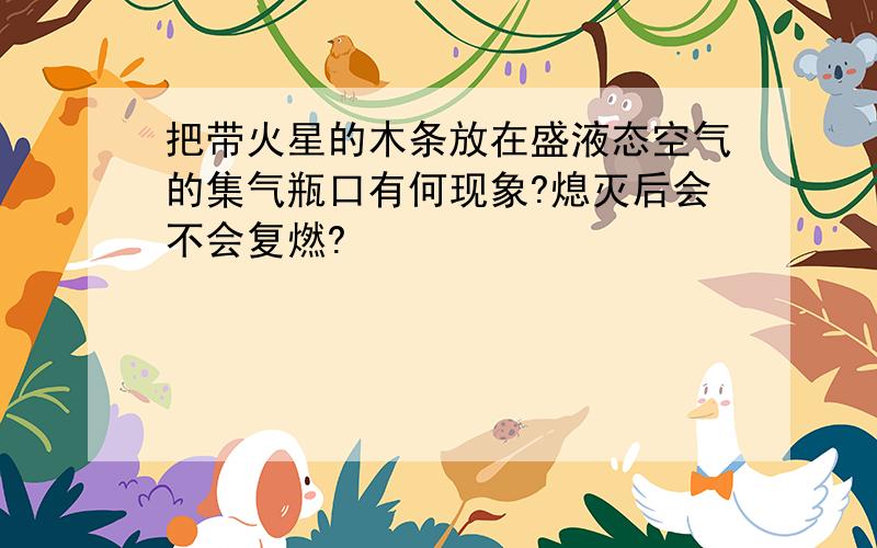 把带火星的木条放在盛液态空气的集气瓶口有何现象?熄灭后会不会复燃?