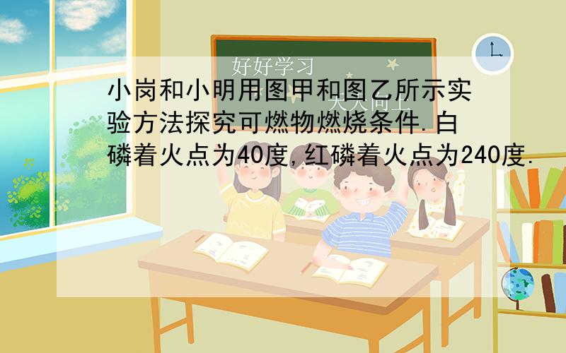 小岗和小明用图甲和图乙所示实验方法探究可燃物燃烧条件.白磷着火点为40度,红磷着火点为240度.