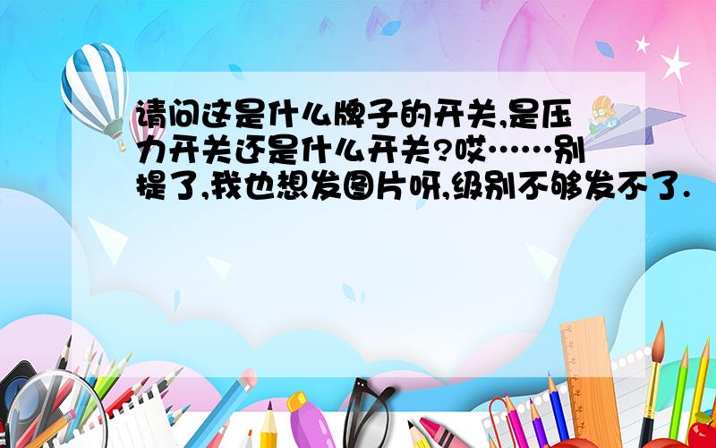 请问这是什么牌子的开关,是压力开关还是什么开关?哎……别提了,我也想发图片呀,级别不够发不了.