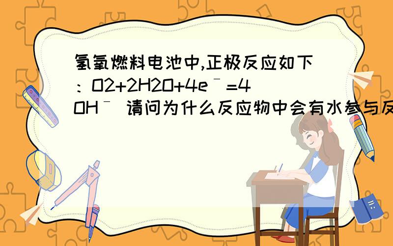 氢氧燃料电池中,正极反应如下：O2+2H2O+4eˉ=4OHˉ 请问为什么反应物中会有水参与反应呢水为什么会发生反应