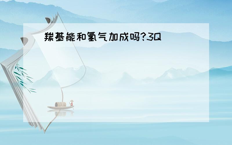 羰基能和氢气加成吗?3Q