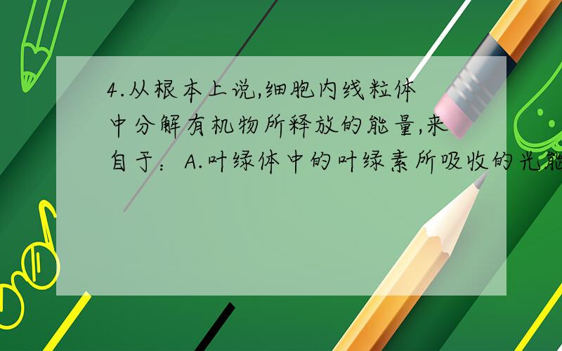 4.从根本上说,细胞内线粒体中分解有机物所释放的能量,来自于：A.叶绿体中的叶绿素所吸收的光能；B.植物细胞来自光能,动物细胞来自食物；C.有机物中的化学能；D.由化学能转化而来的能量