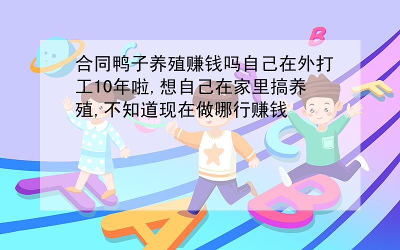 合同鸭子养殖赚钱吗自己在外打工10年啦,想自己在家里搞养殖,不知道现在做哪行赚钱