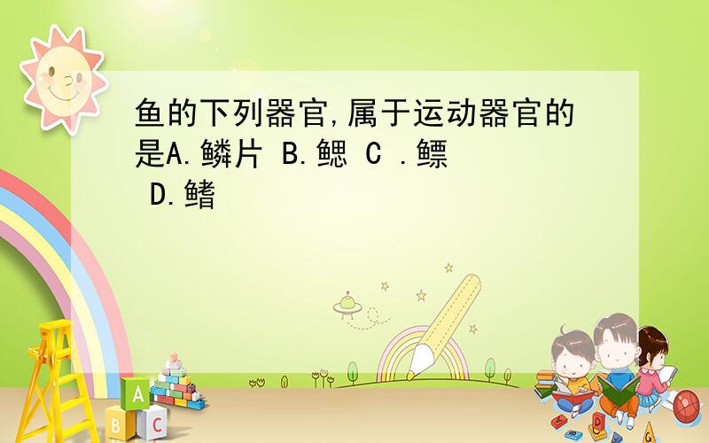 鱼的下列器官,属于运动器官的是A.鳞片 B.鳃 C .鳔 D.鳍