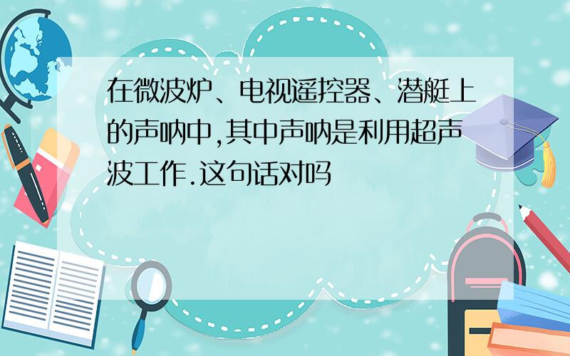 在微波炉、电视遥控器、潜艇上的声呐中,其中声呐是利用超声波工作.这句话对吗