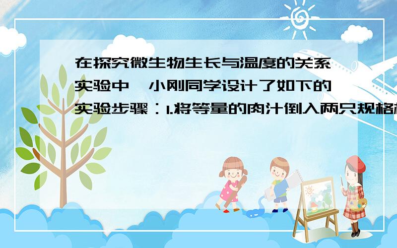 在探究微生物生长与温度的关系实验中,小刚同学设计了如下的实验步骤：1.将等量的肉汁倒入两只规格相同的锥形瓶内2.分别标注A瓶.B瓶3.将两只锥形瓶静置一小时,然后用棉花塞住瓶口4.将A