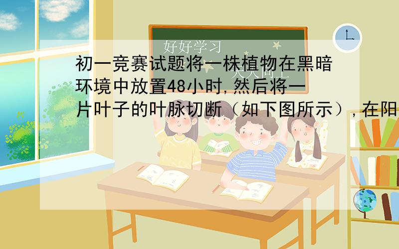 初一竞赛试题将一株植物在黑暗环境中放置48小时,然后将一片叶子的叶脉切断（如下图所示）,在阳光下照射4小时,再将叶片脱色处理后用碘液处理,发现a部（上部）叶呈棕色,b部（下部）叶呈