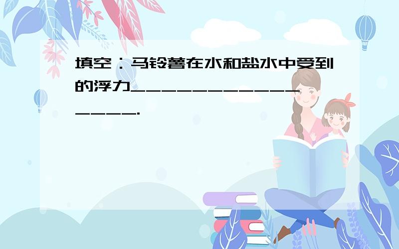 填空：马铃薯在水和盐水中受到的浮力_______________.