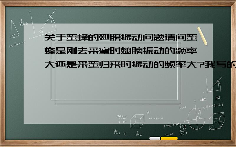 关于蜜蜂的翅膀振动问题请问蜜蜂是刚去采蜜时翅膀振动的频率大还是采蜜归来时振动的频率大?我写的是归来时大,尽然是错的!我们老师说,如果网上找到证据了,她会改判的.