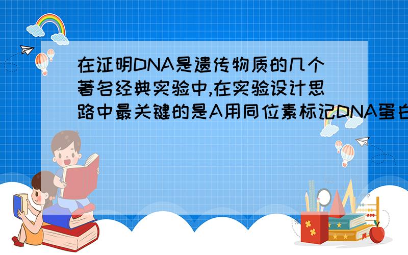 在证明DNA是遗传物质的几个著名经典实验中,在实验设计思路中最关键的是A用同位素标记DNA蛋白质B分离DNA和蛋白质C区分DNA和蛋白质D得到噬菌体和肺炎双球菌