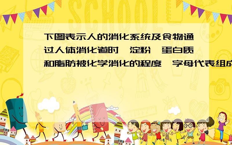 下图表示人的消化系统及食物通过人体消化道时,淀粉、蛋白质和脂肪被化学消化的程度,字母代表组成消化道顺序排列的各个器官．据图示回答：若从某部位抽取内容物化验,发现送检物中含