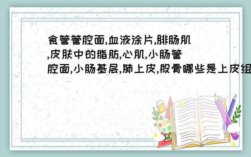 食管管腔面,血液涂片,腓肠肌,皮肤中的脂肪,心肌,小肠管腔面,小肠基层,肺上皮,股骨哪些是上皮组织