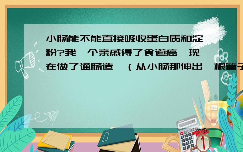 小肠能不能直接吸收蛋白质和淀粉?我一个亲戚得了食道癌,现在做了通肠造瘘（从小肠那伸出一根管子,靠打流质维持生命）.因为食物不经过胃,那么含淀粉或蛋白质的食物是不是就不能被小