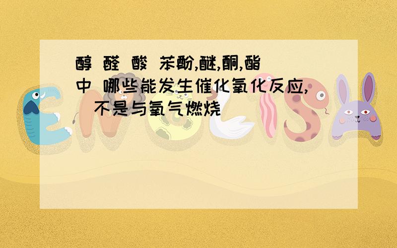 醇 醛 酸 苯酚,醚,酮,酯中 哪些能发生催化氧化反应,(不是与氧气燃烧）