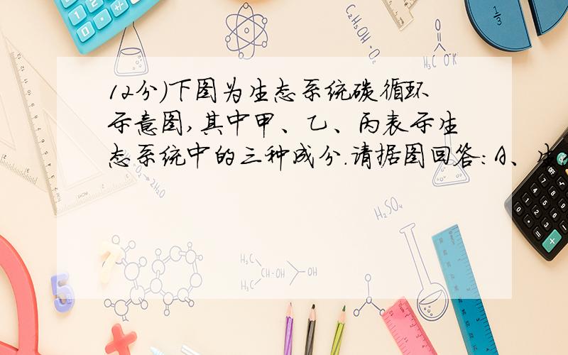 12分）下图为生态系统碳循环示意图,其中甲、乙、丙表示生态系统中的三种成分.请据图回答：A、生态系统（12分）下图为生态系统碳循环示意图,其中甲、乙、丙表示生态系统中的三种成分.