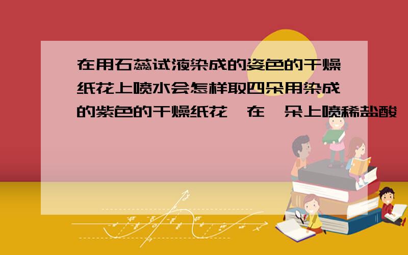 在用石蕊试液染成的姿色的干燥纸花上喷水会怎样取四朵用染成的紫色的干燥纸花,在一朵上喷稀盐酸,一朵上喷水,一朵放入装有二氧化碳的瓶中,一朵先喷水再放入装有二氧化碳的瓶中,分别