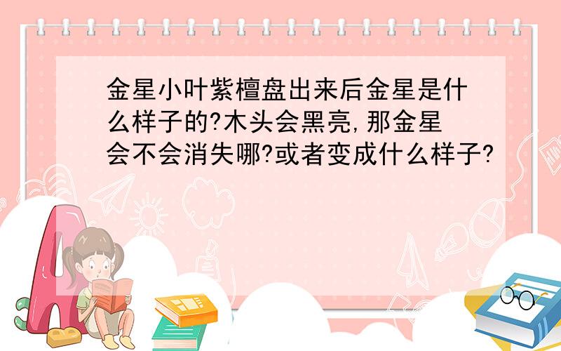 金星小叶紫檀盘出来后金星是什么样子的?木头会黑亮,那金星会不会消失哪?或者变成什么样子?