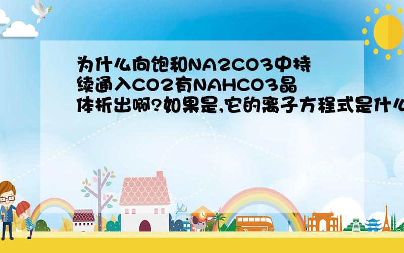 为什么向饱和NA2CO3中持续通入CO2有NAHCO3晶体析出啊?如果是,它的离子方程式是什么?