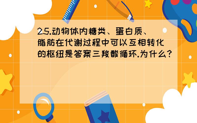 25.动物体内糖类、蛋白质、脂肪在代谢过程中可以互相转化的枢纽是答案三羧酸循环.为什么?