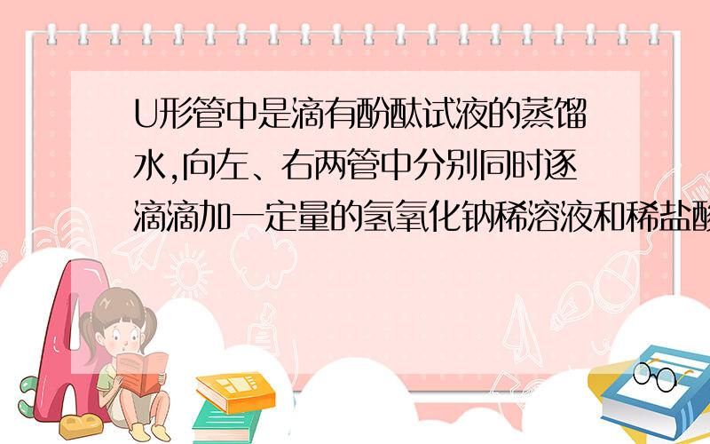 U形管中是滴有酚酞试液的蒸馏水,向左、右两管中分别同时逐滴滴加一定量的氢氧化钠稀溶液和稀盐酸.U形管中是滴有酚酞试液的蒸馏水,向左、右两管中分别同时逐滴滴加一定量的氢氧化钠