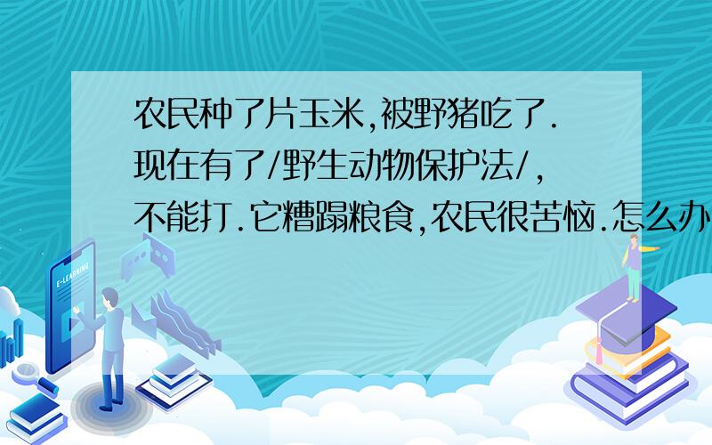 农民种了片玉米,被野猪吃了.现在有了/野生动物保护法/,不能打.它糟蹋粮食,农民很苦恼.怎么办呢?kuaidian