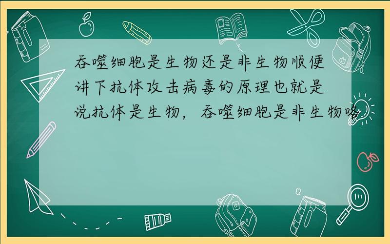 吞噬细胞是生物还是非生物顺便讲下抗体攻击病毒的原理也就是说抗体是生物，吞噬细胞是非生物咯