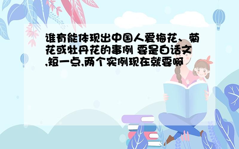 谁有能体现出中国人爱梅花、菊花或牡丹花的事例 要是白话文,短一点,两个实例现在就要啊