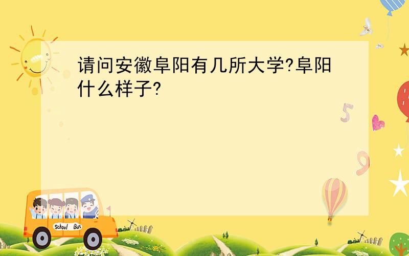 请问安徽阜阳有几所大学?阜阳什么样子?