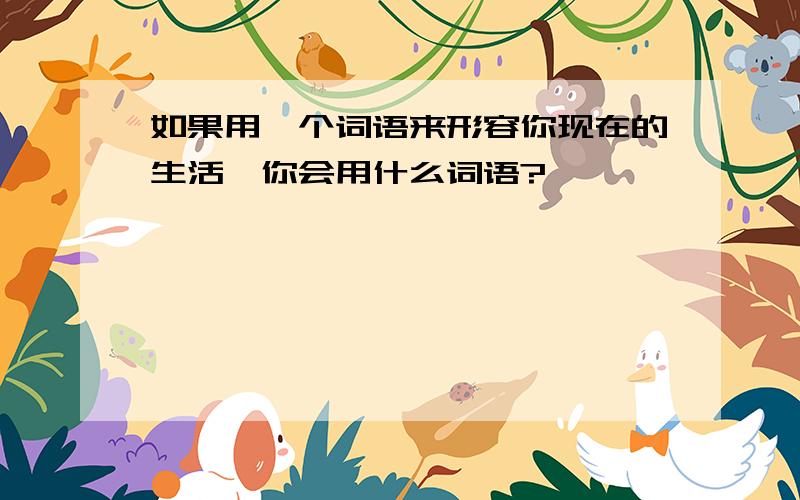 如果用一个词语来形容你现在的生活,你会用什么词语?