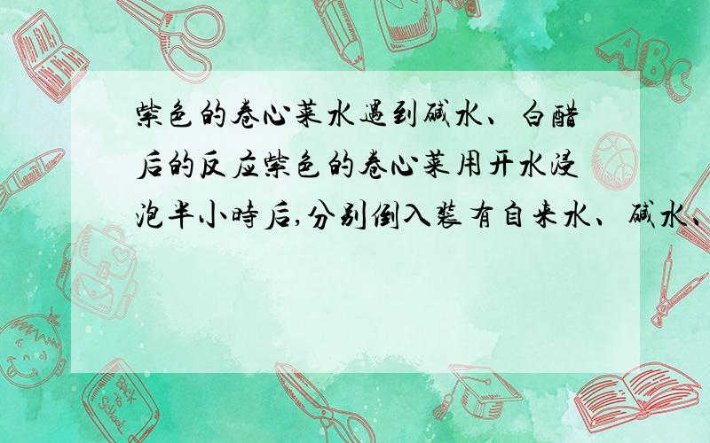 紫色的卷心菜水遇到碱水、白醋后的反应紫色的卷心菜用开水浸泡半小时后,分别倒入装有自来水、碱水、和白醋的水杯里,会有什么反应