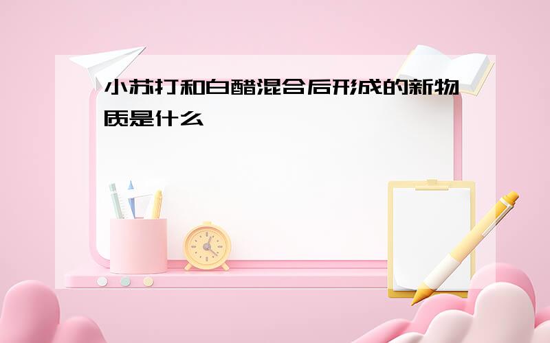 小苏打和白醋混合后形成的新物质是什么