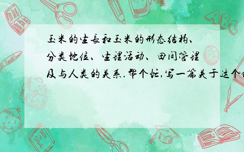 玉米的生长和玉米的形态结构、分类地位、生理活动、田间管理及与人类的关系.帮个忙,写一篇关于这个的不少于800字的介绍玉米的论文.