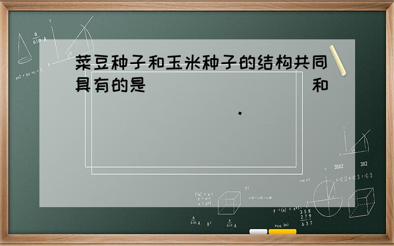 菜豆种子和玉米种子的结构共同具有的是_________和_________.