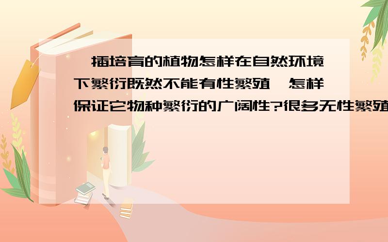 扦插培育的植物怎样在自然环境下繁衍既然不能有性繁殖,怎样保证它物种繁衍的广阔性?很多无性繁殖的植物也没有呈现密集的群落生长.