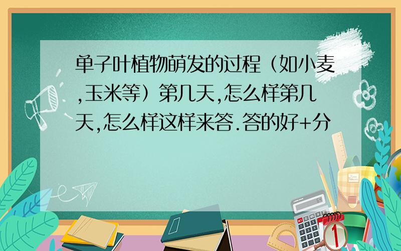 单子叶植物萌发的过程（如小麦,玉米等）第几天,怎么样第几天,怎么样这样来答.答的好+分