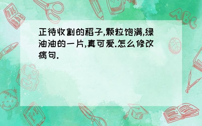 正待收割的稻子,颗粒饱满,绿油油的一片,真可爱.怎么修改病句.