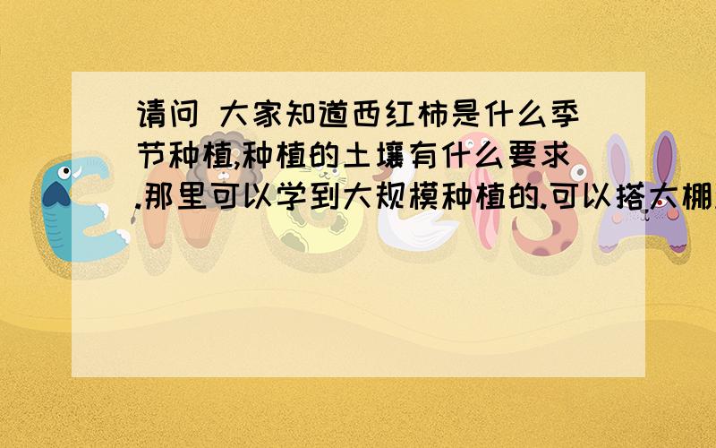 请问 大家知道西红柿是什么季节种植,种植的土壤有什么要求.那里可以学到大规模种植的.可以搭大棚种植吗