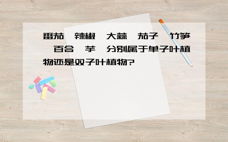 番茄、辣椒、大蒜、茄子、竹笋、百合、芋艿分别属于单子叶植物还是双子叶植物?