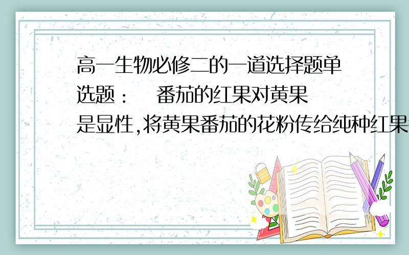 高一生物必修二的一道选择题单选题：   番茄的红果对黄果是显性,将黄果番茄的花粉传给纯种红果番茄的雌蕊,所结果实均为红果；将纯种红果番茄的花粉传给黄果番茄的雌蕊,所结果实均为