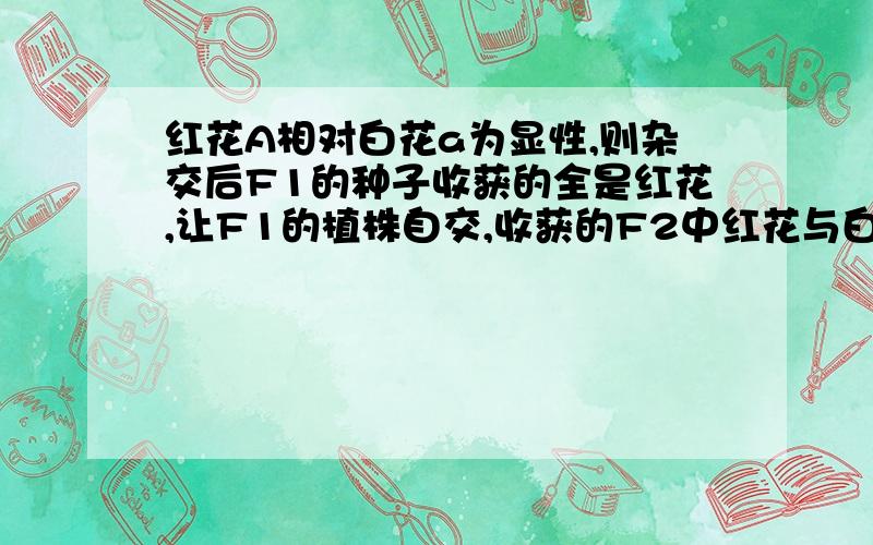 红花A相对白花a为显性,则杂交后F1的种子收获的全是红花,让F1的植株自交,收获的F2中红花与白花之比为3：1,若此时淘汰所有白花,让剩余植株自交后收获的F3种子中红花与白花之比为_____,开红