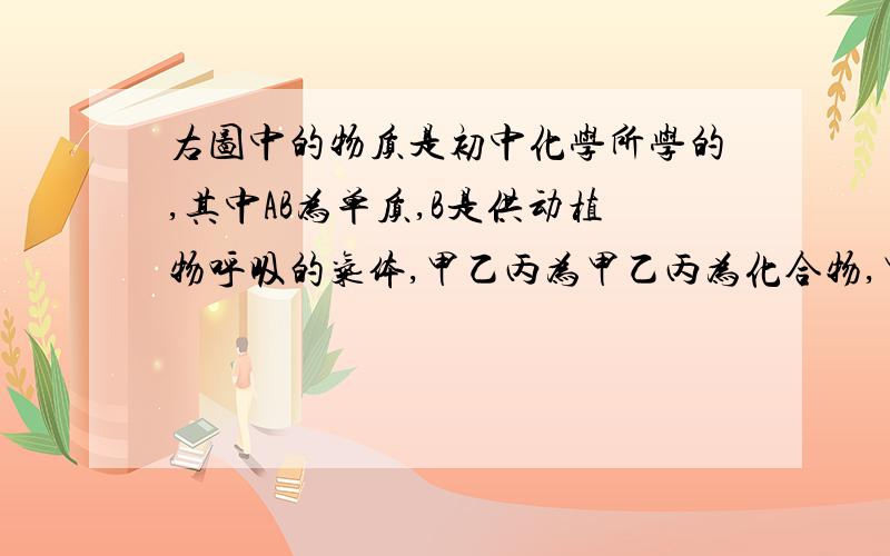 右图中的物质是初中化学所学的,其中AB为单质,B是供动植物呼吸的气体,甲乙丙为甲乙丙为化合物,甲与过量丙,乙与过量的丙两两反应的所有产物相同,图中“---”表示两端的物质能发生化学反