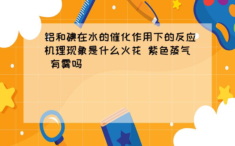 铝和碘在水的催化作用下的反应机理现象是什么火花 紫色蒸气 有雾吗