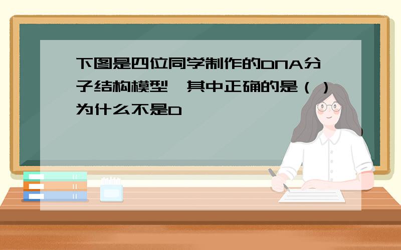 下图是四位同学制作的DNA分子结构模型,其中正确的是（）为什么不是D