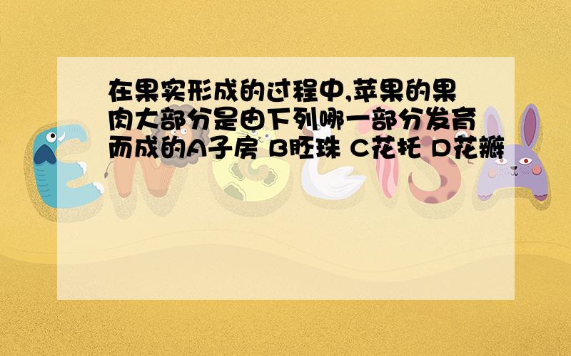 在果实形成的过程中,苹果的果肉大部分是由下列哪一部分发育而成的A子房 B胚珠 C花托 D花瓣