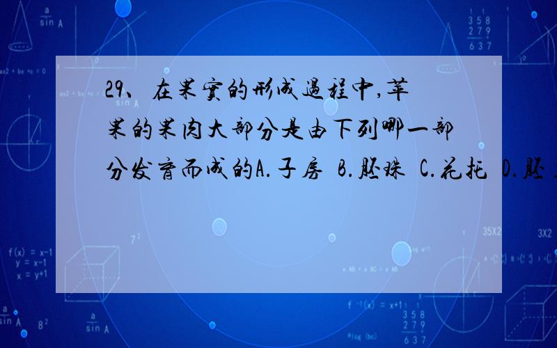 29、在果实的形成过程中,苹果的果肉大部分是由下列哪一部分发育而成的A.子房  B.胚珠  C.花托  D.胚 答案是C,为什么,谢了~~