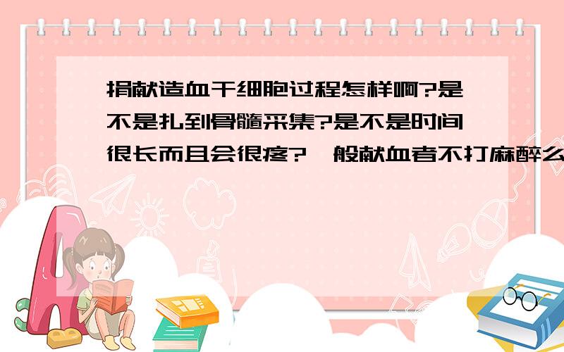 捐献造血干细胞过程怎样啊?是不是扎到骨髓采集?是不是时间很长而且会很疼?一般献血者不打麻醉么?